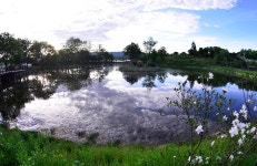 추천갤러리 - 방죽골