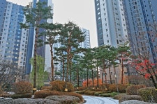 추천갤러리 - 레미안의 뜰3