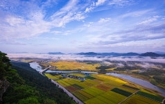 추천갤러리 - 황금 들녘