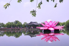 추천갤러리 - 궁남지