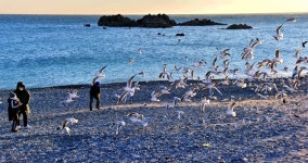 추천갤러리 - 아침바다