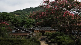 추천갤러리 - 명재고택
