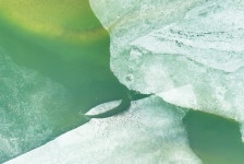 추천갤러리 - 낙동강 유빙 1