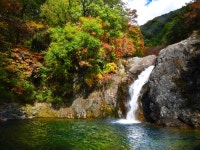 추천갤러리 - 용추폭포