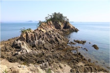 추천갤러리 - 무녀도(군산)