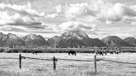 추천갤러리 - 설산이있는 목장소경