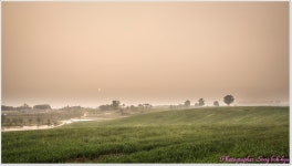 추천갤러리 - 안성목장의 오후