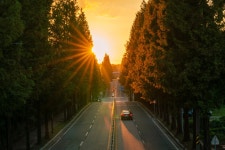 추천갤러리 - 따스한 메타길