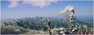 추천갤러리 - 덕유산