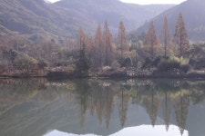 추천갤러리 -  反 影  추천갤러리 - " 反 影 "