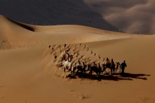 추천갤러리 - 일터로 가는 길