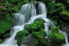 추천갤러리 - 상동