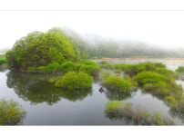 추천갤러리 - 싱그러운 봄