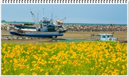 추천갤러리 - 해변풍경