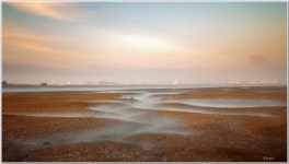 추천갤러리 - 갯골 장노출