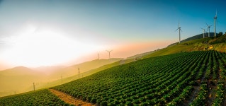 추천갤러리 - 매봉산 바람의언덕