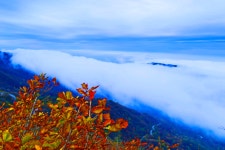 추천갤러리 - 육모정 운해