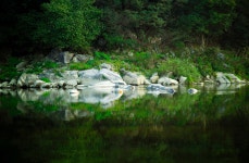 추천갤러리 - 포천 영평천