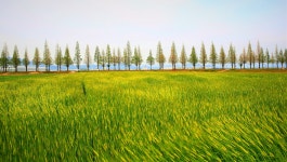 추천갤러리 - 메타길