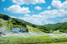 추천갤러리 - 정선하이원...