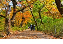 추천갤러리 - 계룡갑사 가는길.