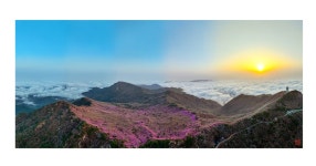 추천갤러리 - 비슬산 일출