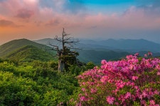 추천갤러리 - 함백산