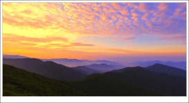 추천갤러리 - 산정의 시원한 조망