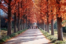 추천갤러리 - 가을 소풍