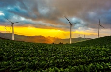 추천갤러리 - 매봉산 일출