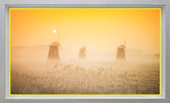 추천갤러리 - 소래습지생태공원