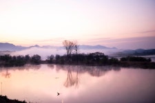 추천갤러리 - 우포늪2