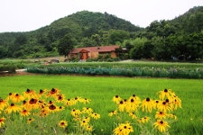추천갤러리 - 산동마을소경..