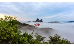 추천갤러리 - 나리꽃 하나