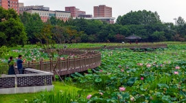 추천갤러리 - 전주 덕진공원