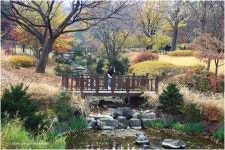 추천갤러리 - 장충단 공원