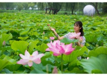 추천갤러리 - 궁남지