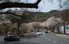 추천갤러리 - 삼거리