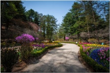 추천갤러리 - 아침고요 수목원