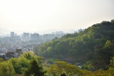 추천갤러리 - 망진산 가는 길