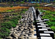 추천갤러리 - 징검다리