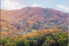 추천갤러리 - 하늘정원