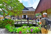 추천갤러리 - 통도사 구룡지에서