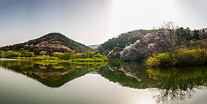 추천갤러리 - 용비지