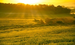 추천갤러리 - 목장에서...
