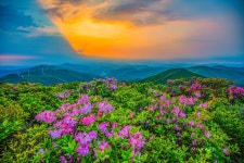 추천갤러리 - 함백산