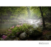 추천갤러리 - 뱀사골