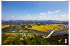 추천갤러리 - 순창들