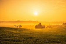 추천갤러리 - 안성목장의황금빛들녁