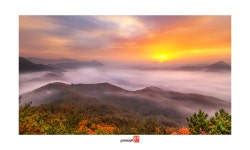 추천갤러리 - 보납산...